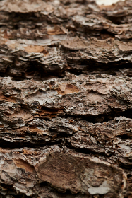 畅享午夜剧场在线观看，免试看带你领略精彩