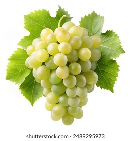 畅享动漫世界：推荐几个免费看动漫的网站