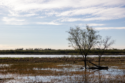畅享动漫之家在线漫画，探索无限精彩世界