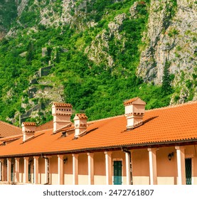 畅享喝茶网影视：品茶与观影的完美结合