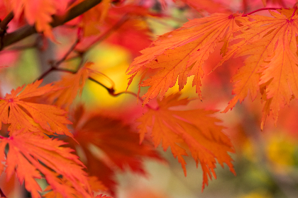 精选福利书签推荐：让阅读更添乐趣与便利