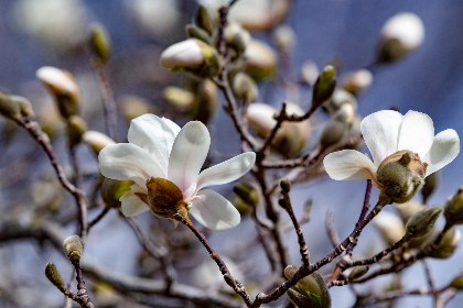 红杏网2022入口：畅享最新资源与精彩内容的最佳平台